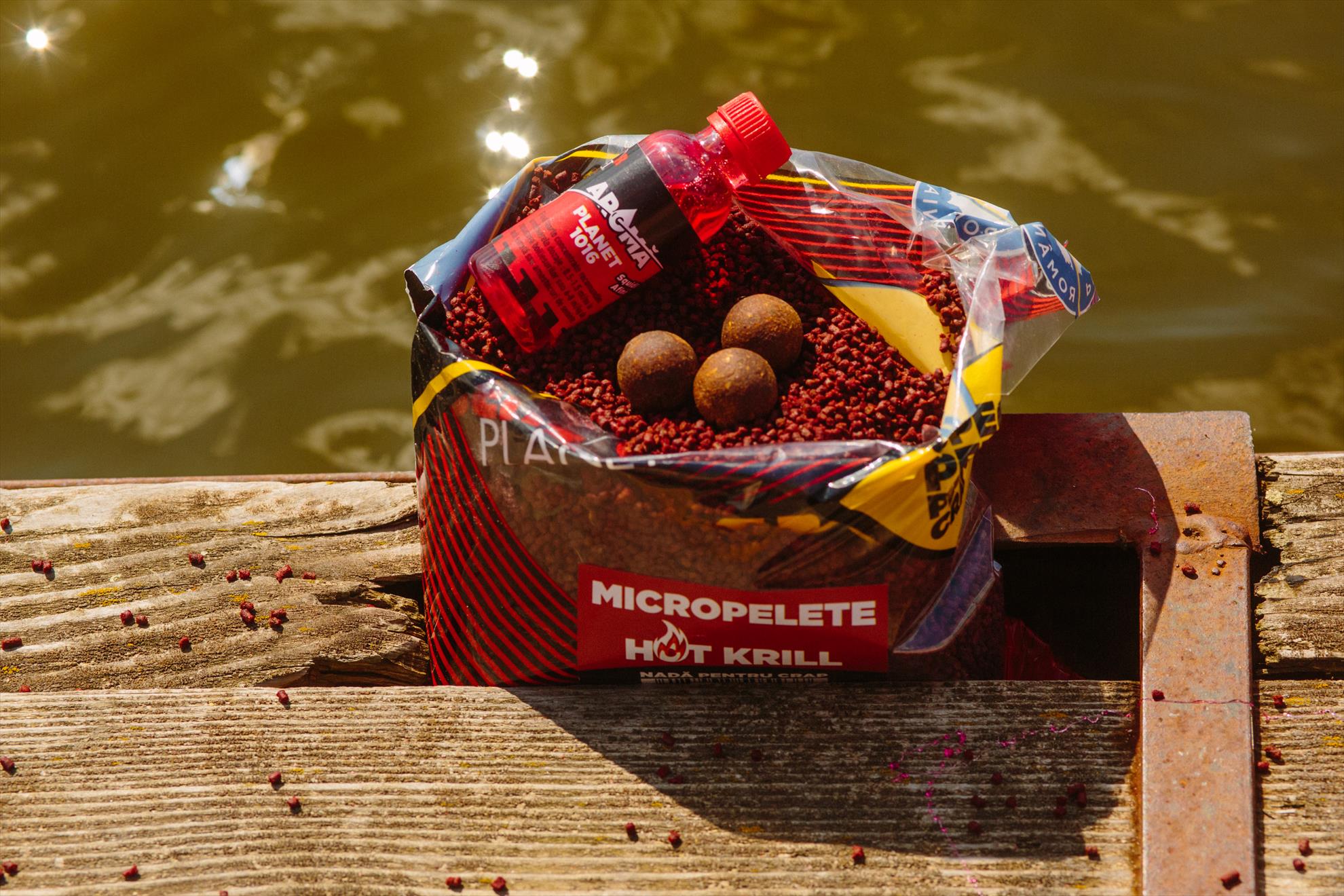 SNZ 2017 - senzor-pe-balta---085.jpg